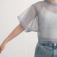 layered sheer top (blue) *JP